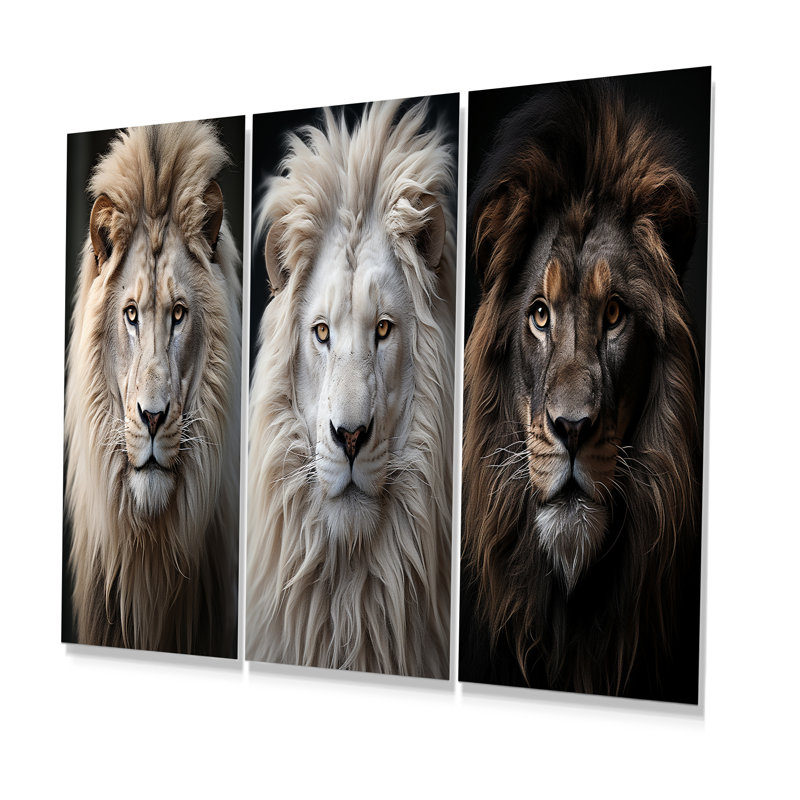 Lions Monochrome Photography - Lion Metal Art Print Set Of 3, 32" H x 48" W