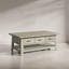 Braden Solid Wood Top Single Coffee Table-77096632