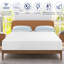 Matelas en mousse viscoélastique 10 "Tankersley Meidum-268952462