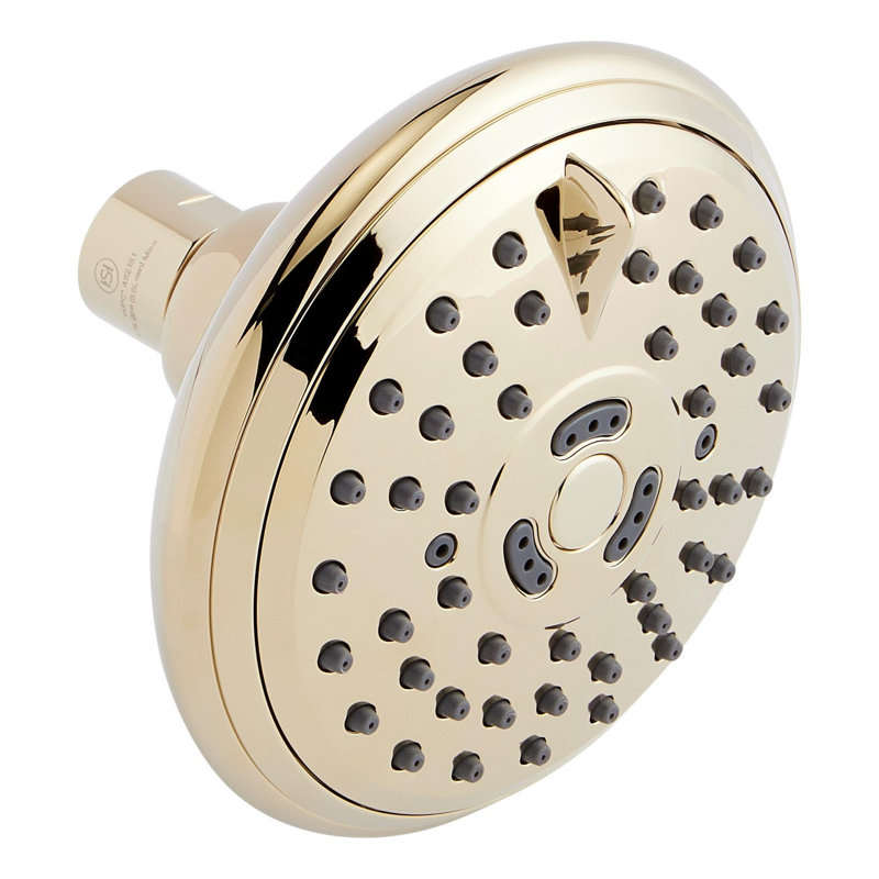 Round Multifunction Shower Head - Polished Brass