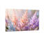 Plantes et fleurs fleurs pastel douces dans une douce lumière-701984340-701984338-701984343