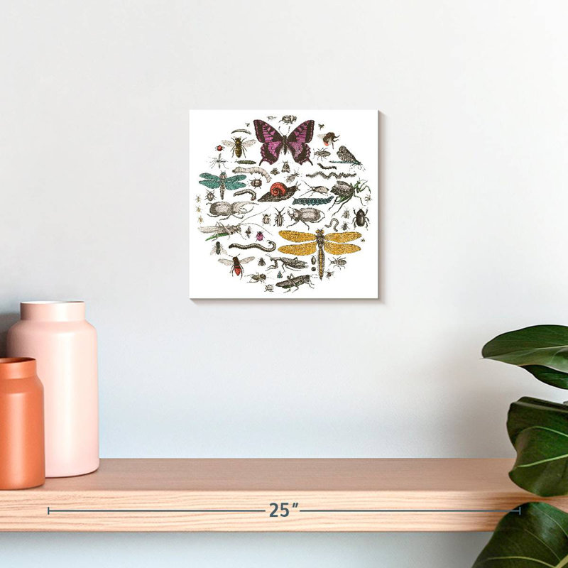 Brampt Insect Circle II Bright, 10'' H x 10'' W