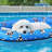 Dog Pool Float, Inflatable Pet Float with Claw-Resistant Nylon Cover