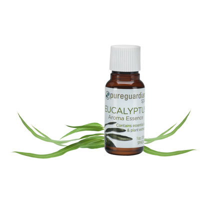 Essence d'arôme d'eucalyptus PureGuardian avec huile essentielle et extraits de plantes, 30 ml