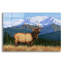 «Loon Peak®» Surveiser son domaine par William Vanderdasson-157388957