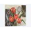 « orange tulipes », impression sur toile-29089116-72776151-72776156