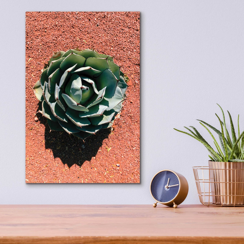 " Utah - Cactus 3 ", 16" H x 12" W x 0.13" D
