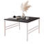 Coffee Table with Storage