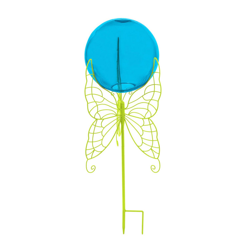 Balle fixant le papillon Hehir, Bleu / jaune