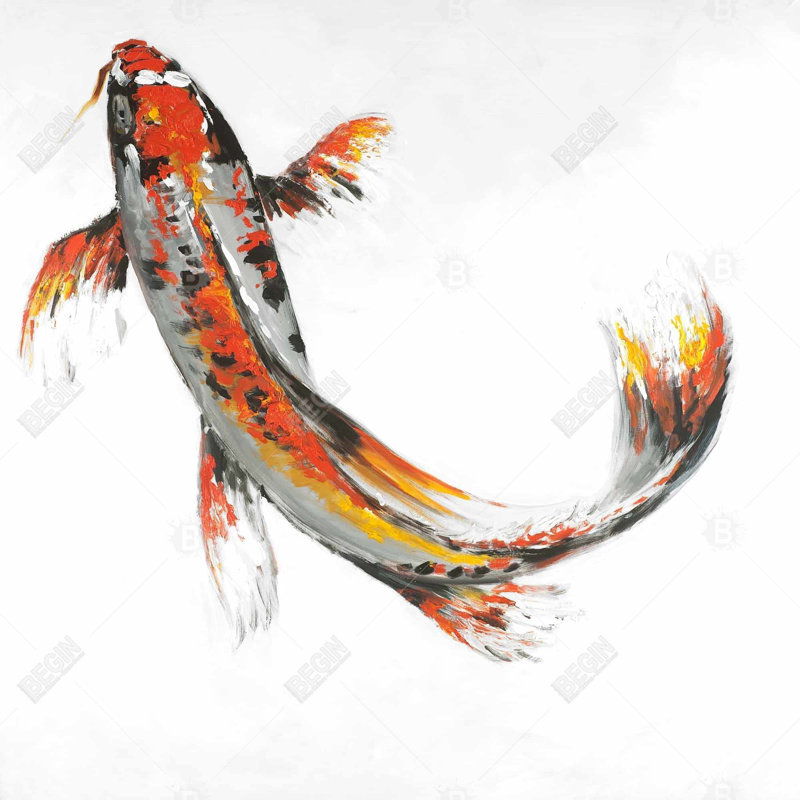" Butterfly Koi Fish "