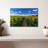Sunflower Field Path-104782232