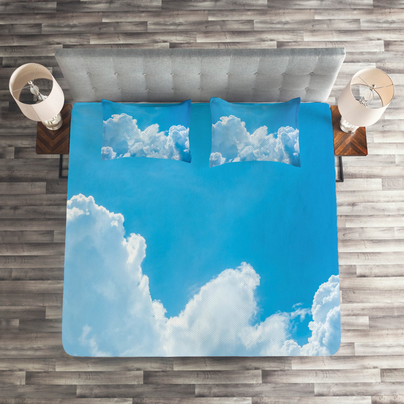 Modern & Contemporary Polyester Coverlet