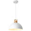 Joylin 11.81" Single Pendant-19883679
