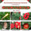 30cm Lighted Garland with Lights