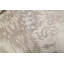 Himalayan Damask Area Rug in Gray/Taupe