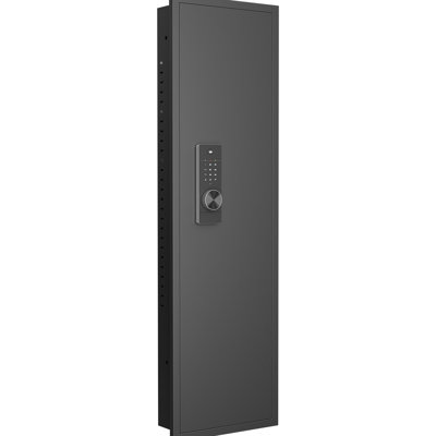 53" Wall Mounted Passport Safe - Touch Screen, Secure,   In Meds With Customized Shelves Screen Panel, , Theft