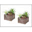 Ensemble de 2 plantes succulentes artificielles, 25 cm de hauteur, avec pots en bois brun pour une décoration de table moderne