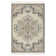 Oriental Indoor Rug