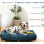 Confortable animal bleu foncé avec coussin amovible, cadre stable surélevé hygiénique et antidérapant, facile à assembler