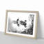 Mallard Ducks in Abstract - Picture Frame Painting Print-55760521-55760527