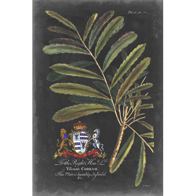 Dramatique royal botanique III