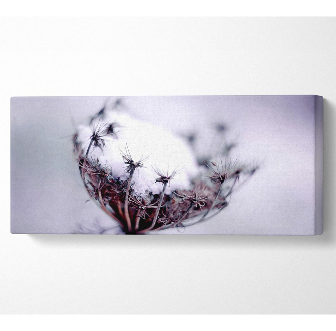 Einzelne Winterblume - Panorama-Kunstdrucke auf Leinwand - Wrapped Canvas