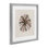Oursin rayé taupe, reproduction encadrée sous verre, design par Lanie Loreth