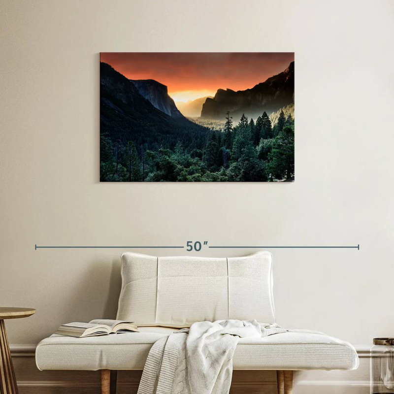 «Harnek Forest Last Light», H 24 po x l 36 po