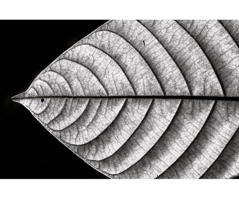 Wrapped Canvas Print, 60.96 cm H x 91.44 cm W