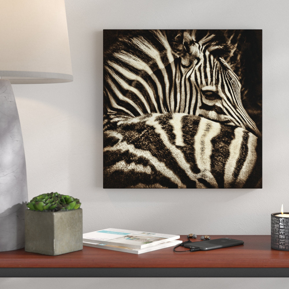 'Comfort' by Andrew Paranavitana Photographic Print on Wrapped Canvas