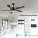 Krishona 54'' Ceiling Fan with LED Lights
