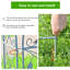 Fence Panels-116074014