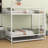 Metal Bunk Bed With Trundle-649480093