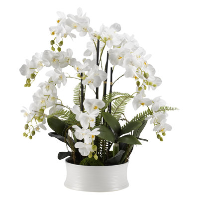 Arrangement floral orchidées dans un plat en céramique
