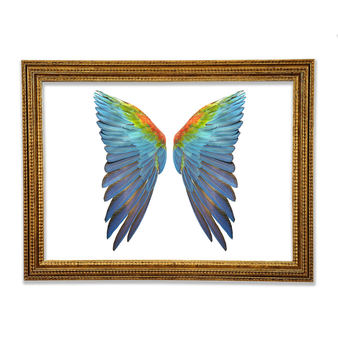 Papagei Vibrant Wings - Druck