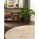 Saphira Chenille Oriental Indoor Rug