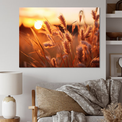 " Yellow Wildflowers Field With Sunset II "