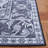 Eileena Performance Machine Washable Oriental Rug-417591296