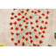 Plants Hand Tufted Cotton Floral Area Rug in Natural/Terracota/Mustard/Green-134519589