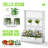 Resin Planter Box With Trellis(Ashen)-1123400862
