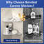 Stainless Steel Shower Caddy