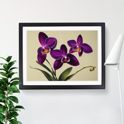 Elegant Orchid Flowers - Single Picture Frame Painting