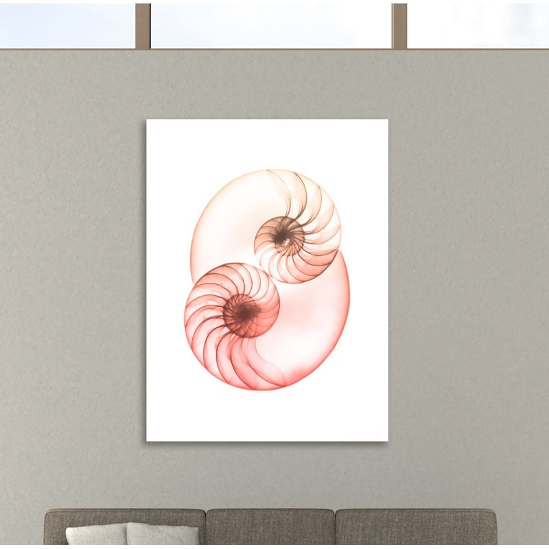 "Sunset Shell 1" par Albert Koetsier, reproduction d’art sur toile, H 20 po x l 15 po x P 1,5 po, Toile tendue