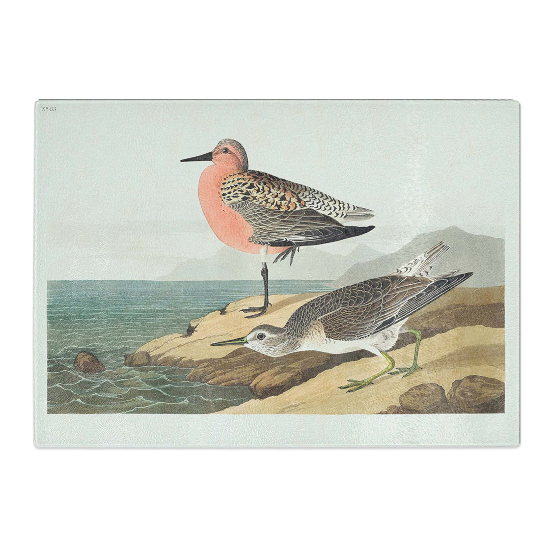 Tempered Glass Red-Breasted Sandpiper by John James Audubon Chopping Board