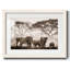 Parc national Amboseli-127514537-127514539