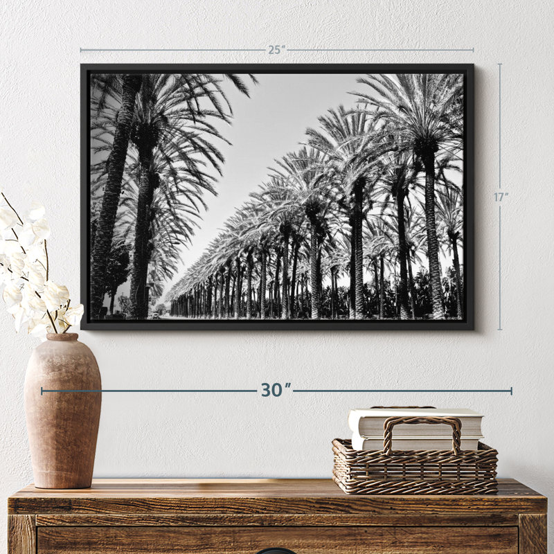 Faul Palms In Order Canvas Print, 17" H x 25" W