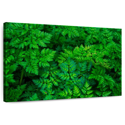 Harnek Flourishing Leaves