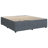 Latitude Run® Bed Frame Without Mattress  Velvet-800337734-800337735