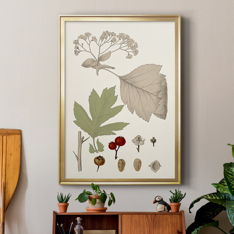 Feuilles et baies II sur papier, Or, H 42,5 po x l 30,5 po x P 1 po