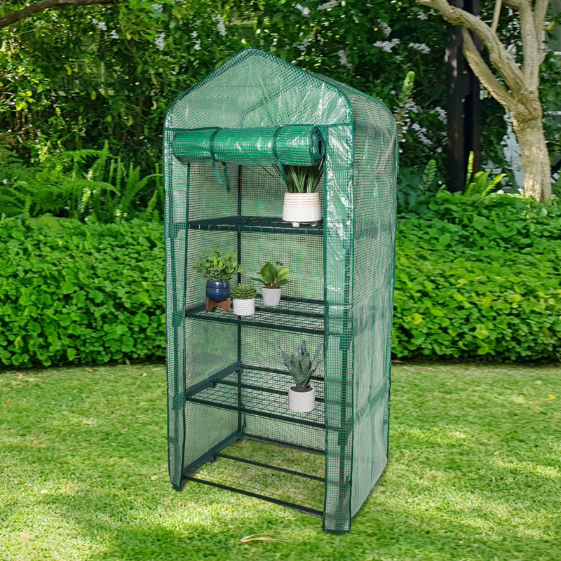 Small Green Transparent Plastic Indoor/Outdoor Greenhouse